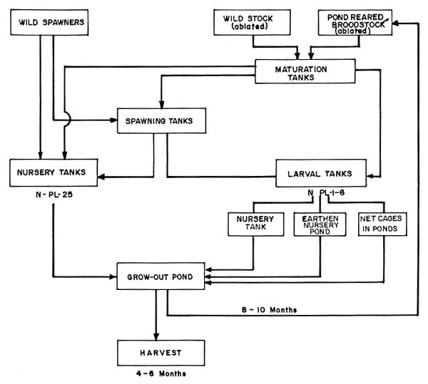 Fig.31