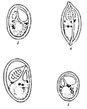 Fig. 6--15