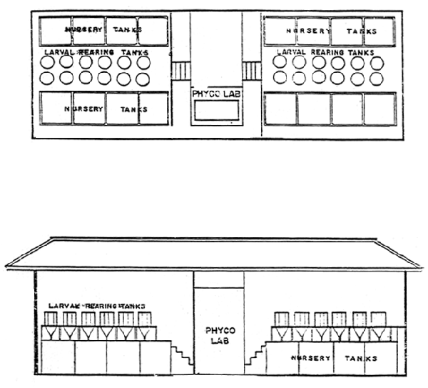 Fig. 1B