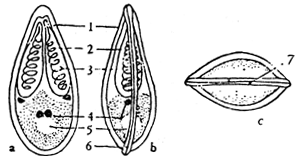 Fig. 6.11