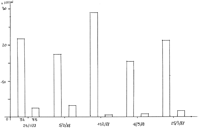 FIG.4