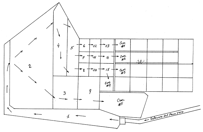 PLANO 6