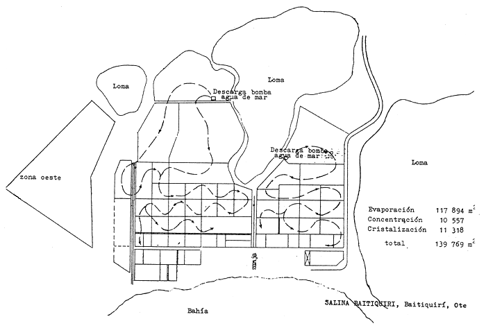 PLANO 7