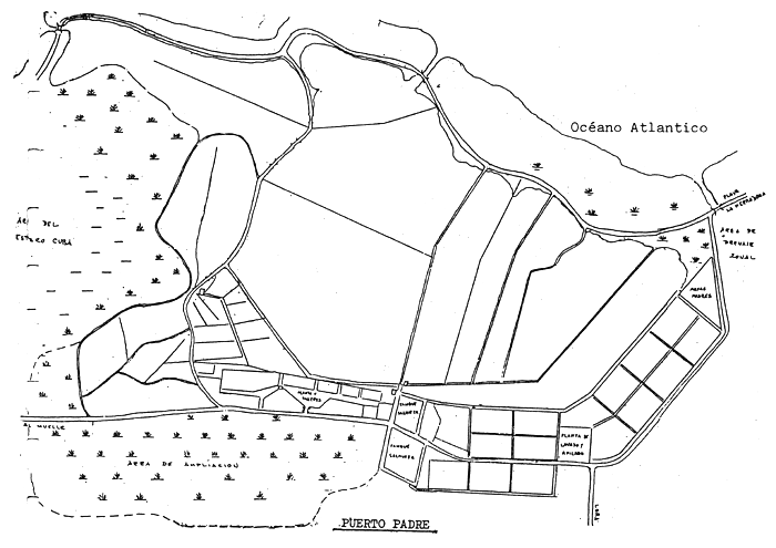 PLANO 8