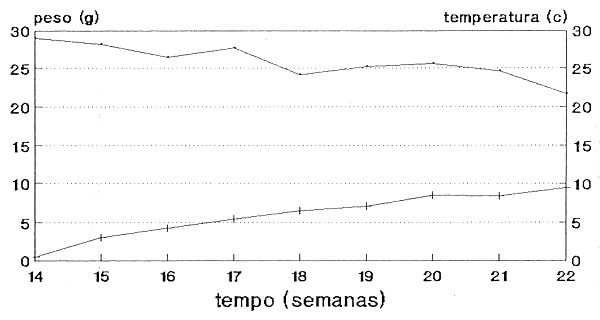 FIGURA No 11