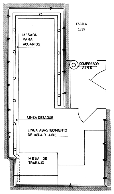 Figura 1