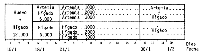 Figura 4