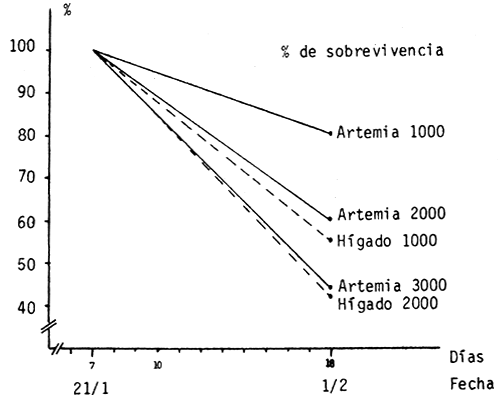 Figura 6