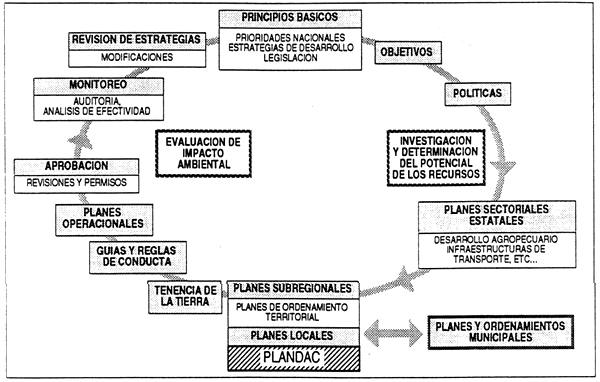 FIGURA 1