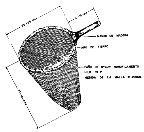 Fig. 1A