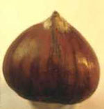 Fig. 4a Mechanical injuries on chestnuts after mechanical harvest and rough handling (ARSIAL, 1999)