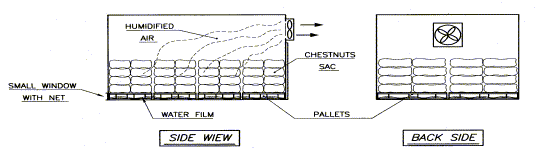 Fig. 16:  Simplified  ventilated wet air storage system for chestnuts in sacks .