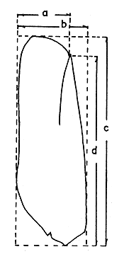 Fig. 4.1