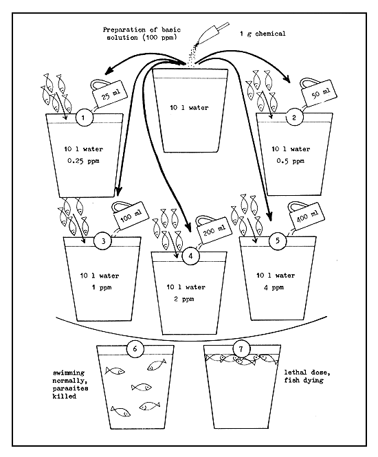 Figure 55