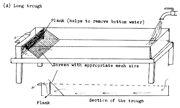 Figure 31