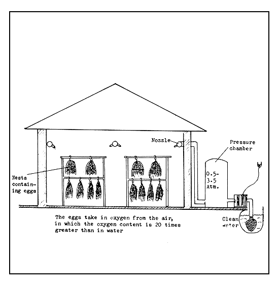 Figure 39