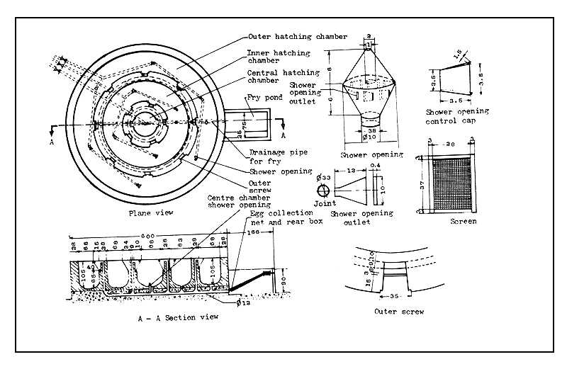 Figure 41