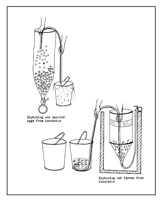 Figure 43a