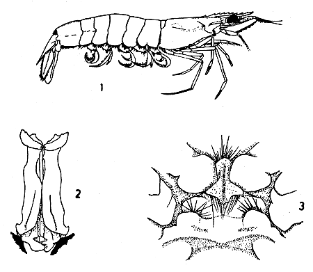 Fig. 1, 2 & 3