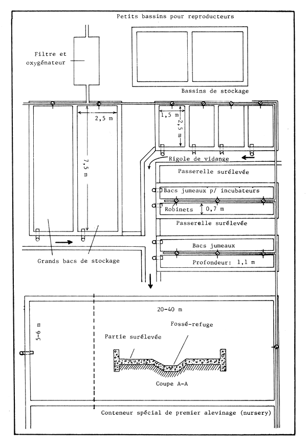 Figure 59