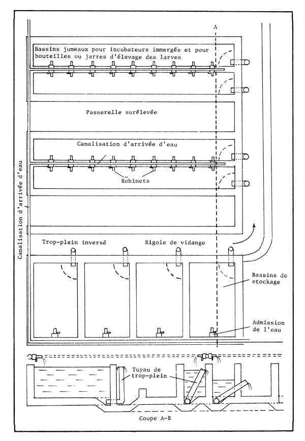 Figure 60