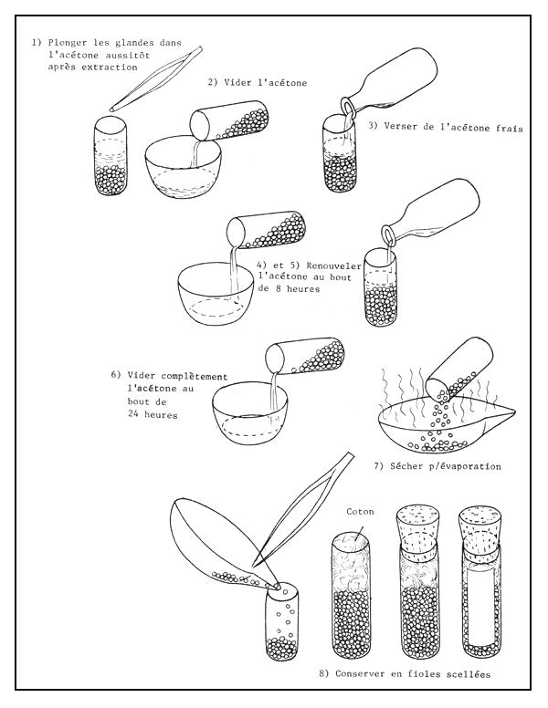 Figure 74