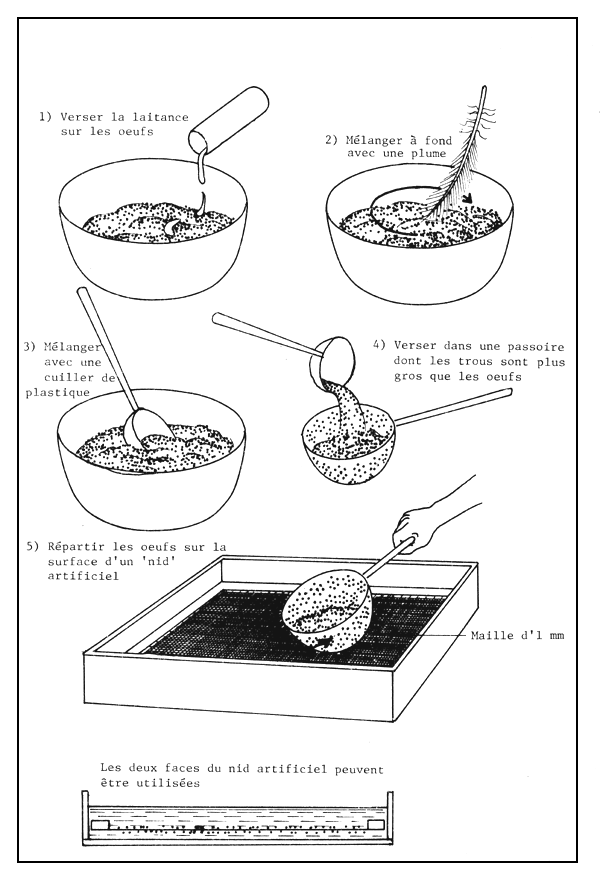 Figure 76