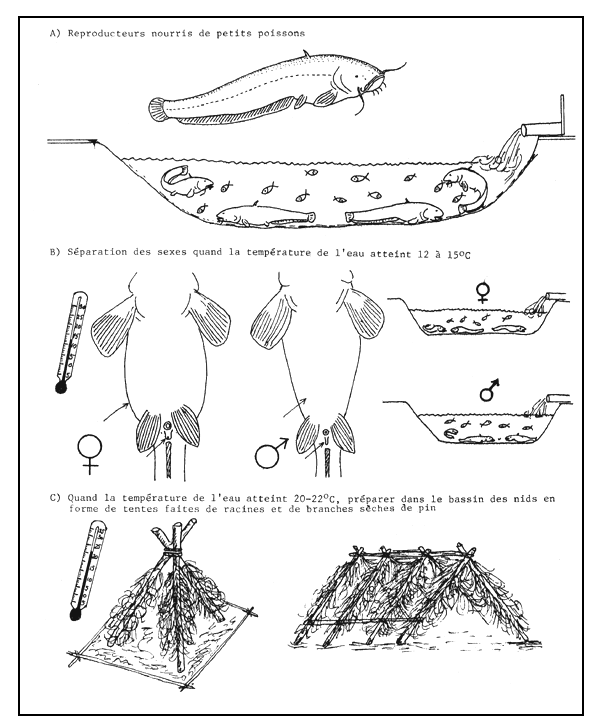 Figure 78