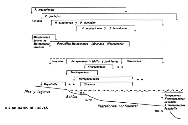 Figura 4