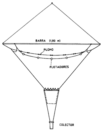 Figura 9