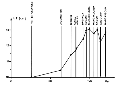 Figura 11