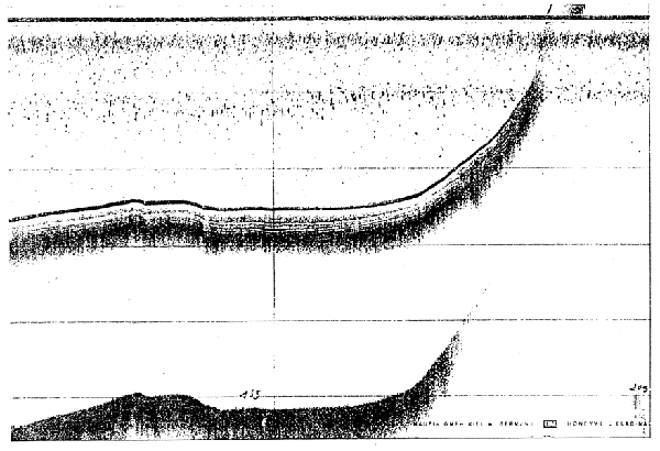 Fig. 11