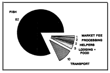 Figure 29