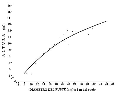 GRAFICO 2