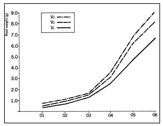 Chart 1 B