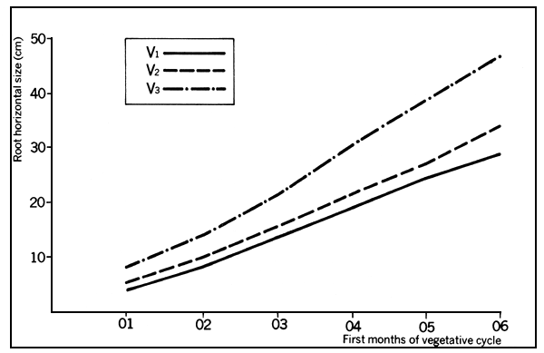 Chart 3B