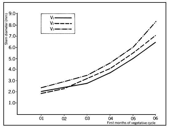 Chart 5B