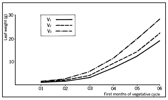 Chart 8B