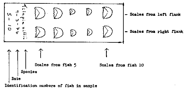 Fig. 4.6