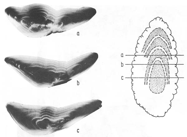 Fig. 4.11