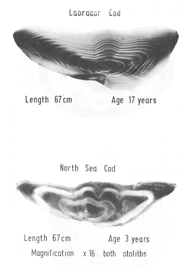 Fig. 4.25