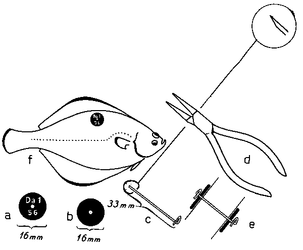Fig. 8.7