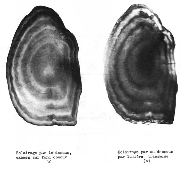Fig. 4.7