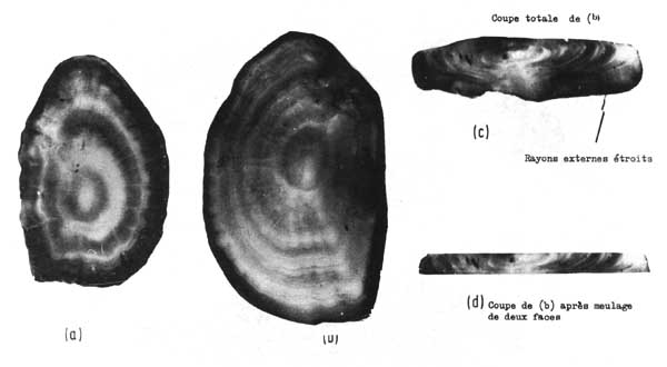 Fig. 4.8