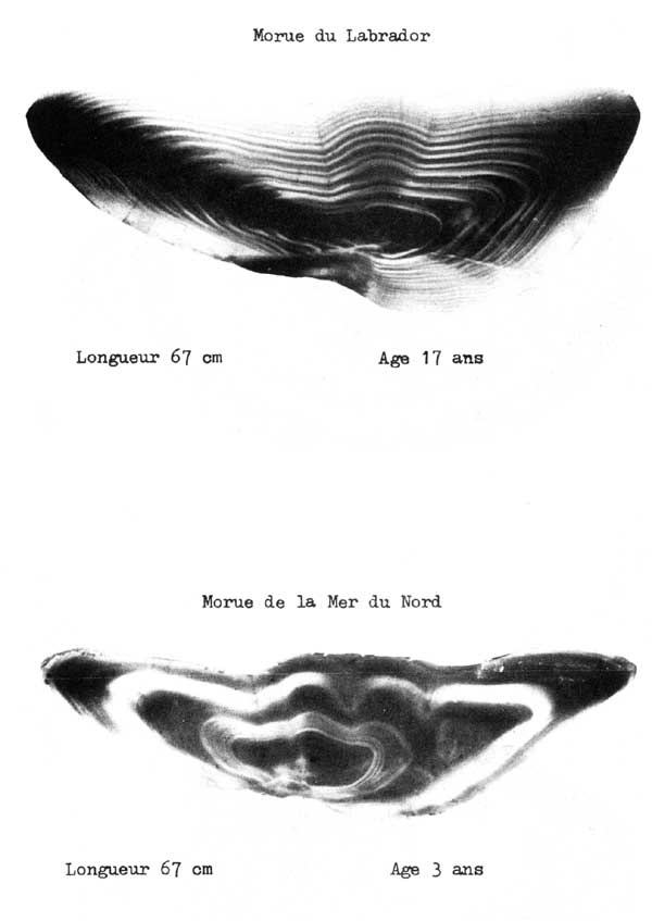 Fig. 4.25