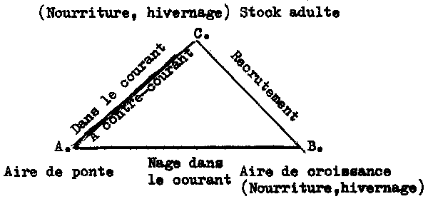 Fig. 8.2