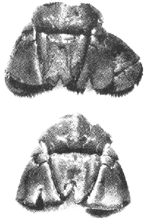 Fig. 8.4