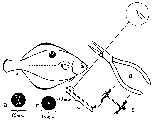 Fig. 8.7