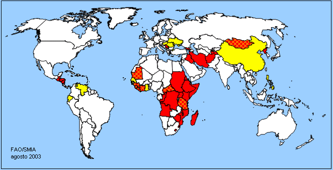 World Map