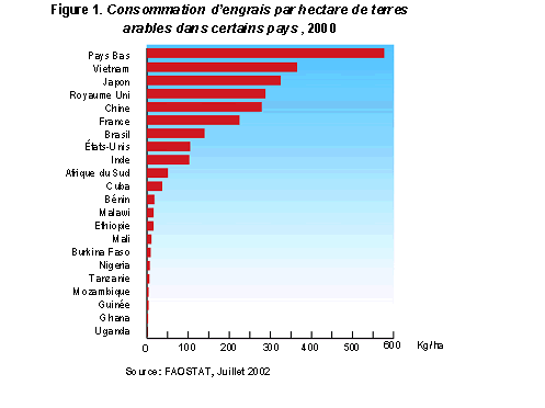 Undisplayed Graphic